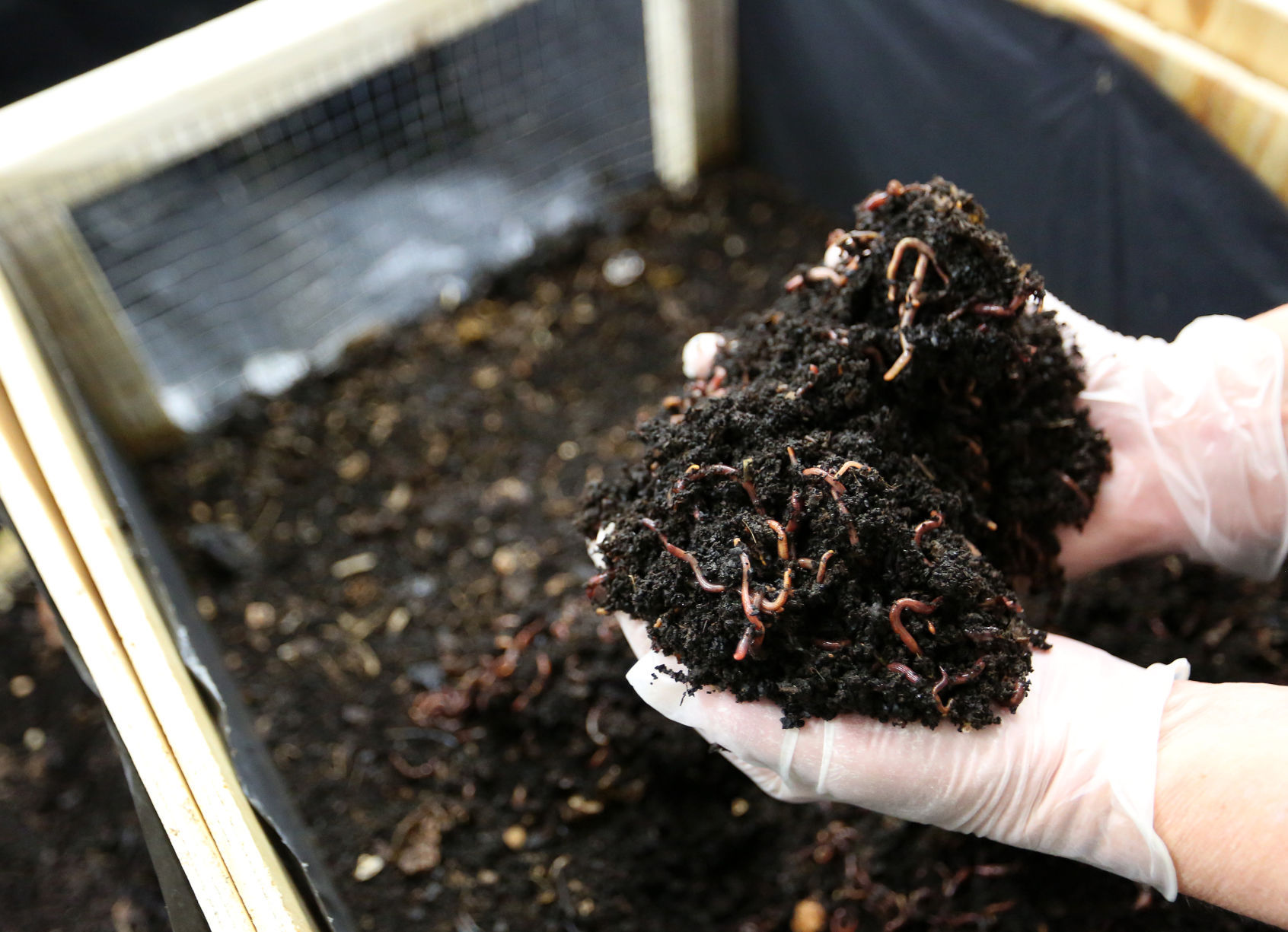 EARTH STEW COMPOST SERVICES